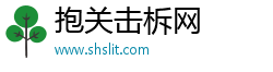 抱关击柝网